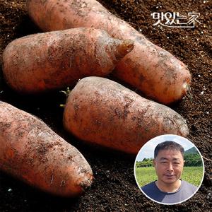 제주직송 흙당근 키로별 3kg 5kg 10kg