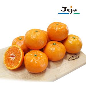 [제주명품] 제주감귤 5kg - L [40~46과]