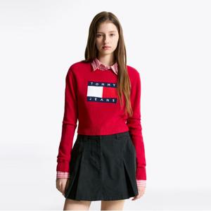 스파클 플래그 스웨터 (T32F7KTO45TWT1XJP)