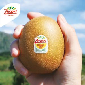 G) 제스프리 썬골드키위 슈퍼점보과 3.4kg (22입,개당 155g내외)