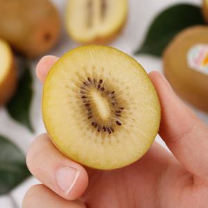 고당도 제스프리 제주 썬골드키위 사이즈별