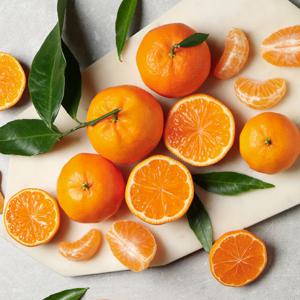 [작심밀도]빛과나무 고품질 착한감귤농장 제주감귤 5kg 80-94입내/2S