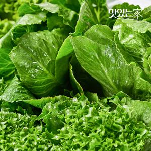 [동김제농협]  유러피안샐러드 3-4종 1kg 대용량 야채믹스 채소믹스