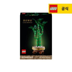 보태니컬 10344 행운의 대나무