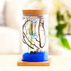 마리모 키우기 led 유리병 테라리움 코르크 마리모키우기 마리모병 마리모어항 수경식물키우기