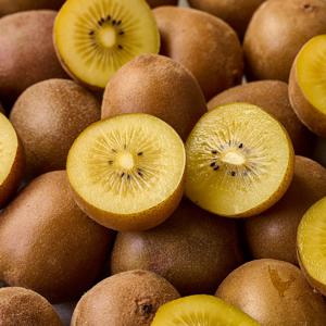 국내산 순천 골드키위 2kg(31과내외) 외