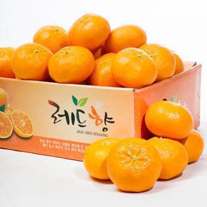 [산지직송] 제주 돌담 레드향 가정용 1kg / 2.5kg / 4.5kg