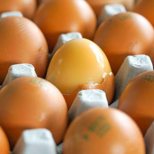 [HACCP 인증] 맥반석 구운계란 30구 60구 중란 대란