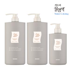 [단하루 구성] 씨드비 채우담 샴푸 대용량 세트