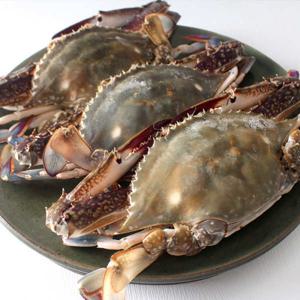 서해안 활 숫꽃게 암수혼합 꽃게 / 100% 국내산 1kg (6kg까지 합배송)