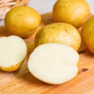 포슬포슬 국내산 수미 감자 1kg 2kg 3kg 햇감자 (25년 햇감자)