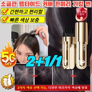 2+1/1 한 번에 검정소금관 펩타이드 커버 흰머리 가림 펜 정수리 헤어 새치 머리 부분 커버 스틱  셀프