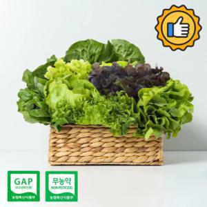 (신선집중) 샐러드 채소 상추 쌈채소 1kg(랜덤) 무농약 GAP