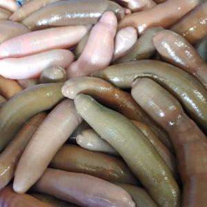 개불  10미 (수령당일 횟감 가능) / 손질된 상품