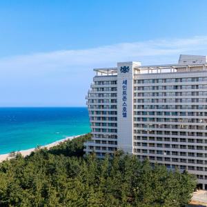 |강원 호텔| 강릉 세인트존스호텔 (경포대사천주문진정동진)