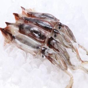 KJP마켓 자연산 손질 통오징어 2+2미 오징어 냉동 통오징어 /16일까지 특별할인+무료배송