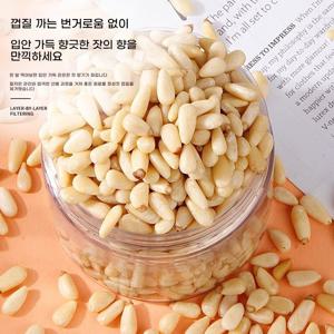 수입 잣 야생잣 견과류 잣 1개 500g