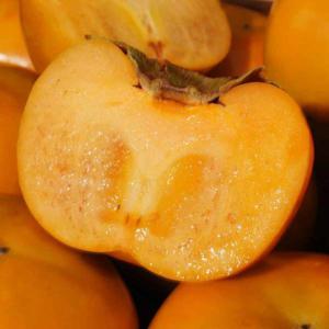 진영단감 부유단감 햇 단감  5kg  / 2.5kg 특대과 / 품평회 1등 수상 경력 농가