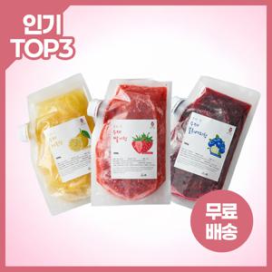지마켓 단독 구성)동화속딸기 자일로스 수제 과일청 500G BEST 모음 (딸기 / 레몬 / 블루베리)