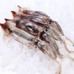 KJP마켓 자연산 손질 통오징어 2+2미 오징어 냉동 통오징어