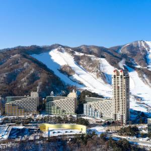 |강원 호텔| 휘닉스 리조트 평창 (평창)