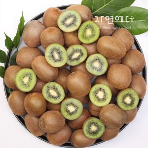 (신선집중) 농협과일 국내산 가정용 소과 그린키위 2kg 32과내외