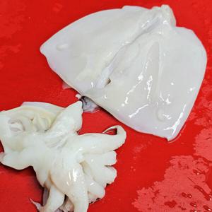 국내산 손질 갑오징어 (손질후 중량 500g)