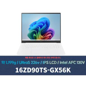 LG전자 2025 그램 프로16  16ZD90TS-GX56K SSD 512GB교체+Win11설치+무선마우스+패드 DK
