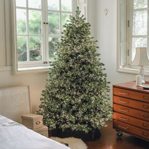 윈터스케치 크리스마스트리 대형 PE 전나무 트리 무장식 고급 피시본그린트리 150CM