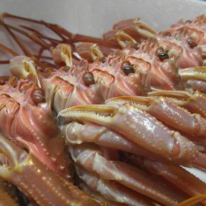 나라농수산 구룡포대게 중자 3마리