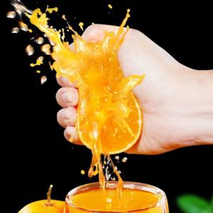 달고 맛있는 제주감귤 10Kg