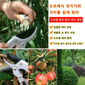1/1+1 원예용 전지가위 힘이 절약한 전지가위 꽃꽂이 가위