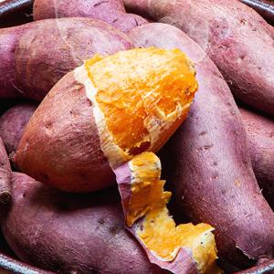 제철 해남 호풍미 특상 3kg (100g-300g) 호박고구마