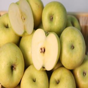 (신선집중) 사과 시나노골드 황금사과 시나노골드사과 가정용 3kg (19-21과) 초특가 행사 25년 첫 수확