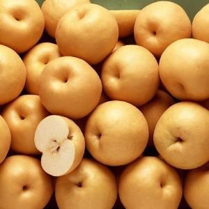 (신선집중) 배 나주배 가정용 3kg