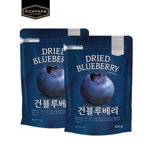 [리치팜너트]건블루베리400g 2팩