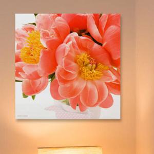 아트박스/꾸밈 ia833-아크릴액자_금전이들어오는모란꽃화분(중형