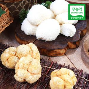 [생산자직송] 강진 양승규님의 무농약 건 노루궁뎅이버섯 50gx2