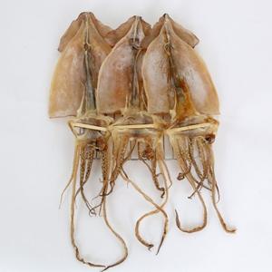 Fresh 건어물 마른 안주 간식 마른 오징어 5미 370g 이상