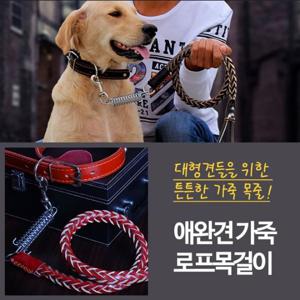 애완견 가죽 로프 목걸이 L 강아지목줄 애견목줄 강아지목걸이 목줄 애견줄
