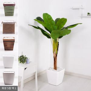 바나나 나무 조화나무 인조나무 화분 set 165cm 조화 인테리어 조경 장식 대형 카페
