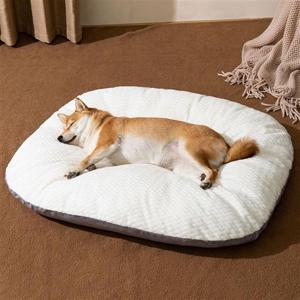 PET 강아지 방석 쿠션 꿀잠 무중력 방석