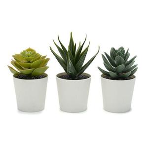 FEJKA 페이카 인조 다육 식물 화분 6cm 3개 플랜트 소품 인테리어 미니 다육이