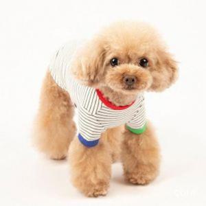 [펫츠랜드] 배색 단가라 티셔츠/애견의류/강아지옷/강아지티셔츠