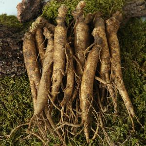 금산 황금농장 삼계탕/갈비탕용 인삼(중) 750g