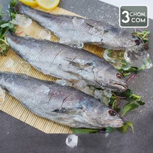 [여수직송] 반건조 민어 6마리