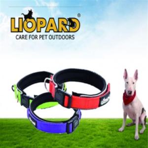 리오파드 C15108 목줄(L 그린)