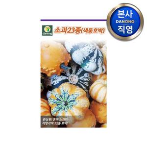 색동 호박 (소과23종) 씨앗 100립 . 야채 채소 텃밭 재배 파종 씨 종자.