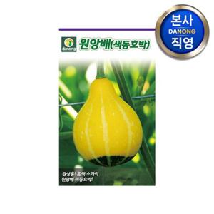 색동 호박 (원앙배) 씨앗 10립 . 야채 채소 텃밭 재배 파종 씨 종자.