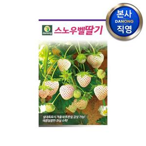 스노우벨 딸기 씨앗 100립 . 야채 채소 텃밭 파종 재배 주말 농장 씨 종자.
